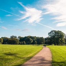 Lebensqualität durch Grünflächen in der Stadt